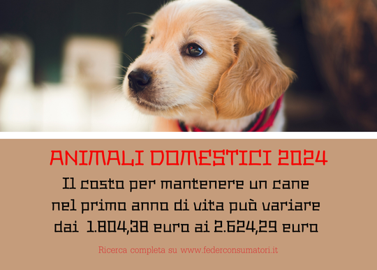 costo cane 1 anno vita.png